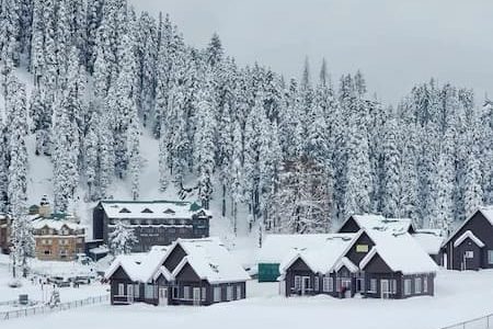 Ultra Premium Kashmir