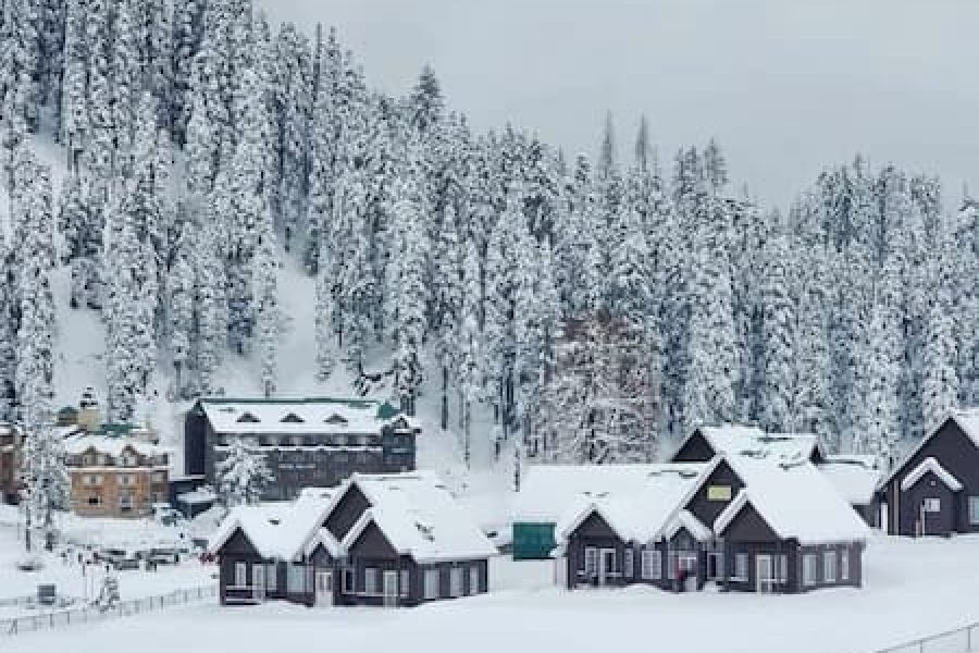 Ultra Premium Kashmir