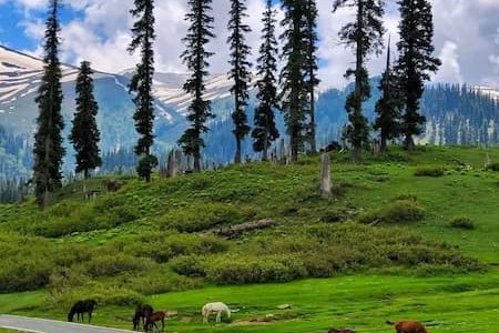 Gulmarg Tour Itinerary