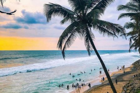 Kerala Itinerary – Explore Palakkad, Silent Valley, and Parambikulam’s Heritage, Wildlife & Temples