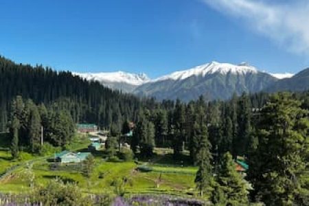 Srinagar Tour Itinerary