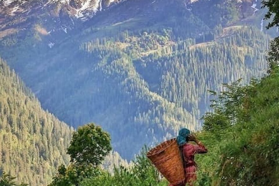 Best of Meghalaya & Assam – 8 Days Tour Package