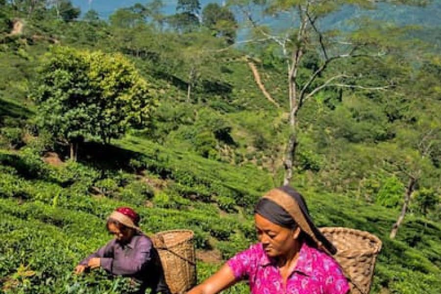 Arunachal Pradesh 9 Days Tour Package